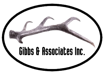 R.J.P. Gibbs & Associates Inc.